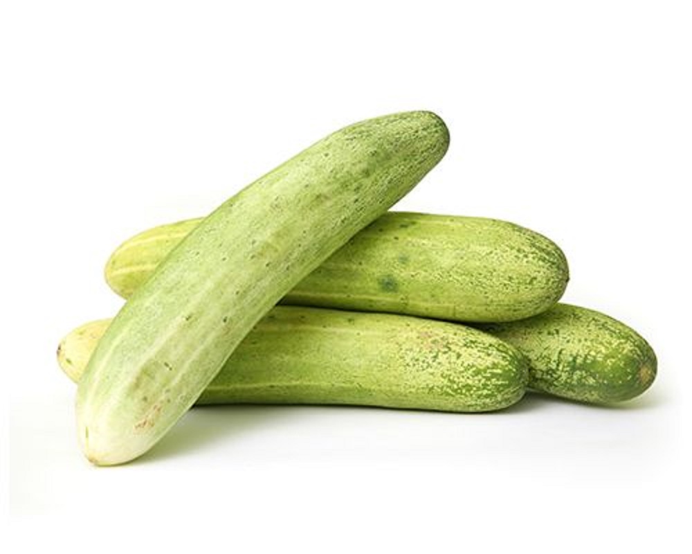 Cucumber