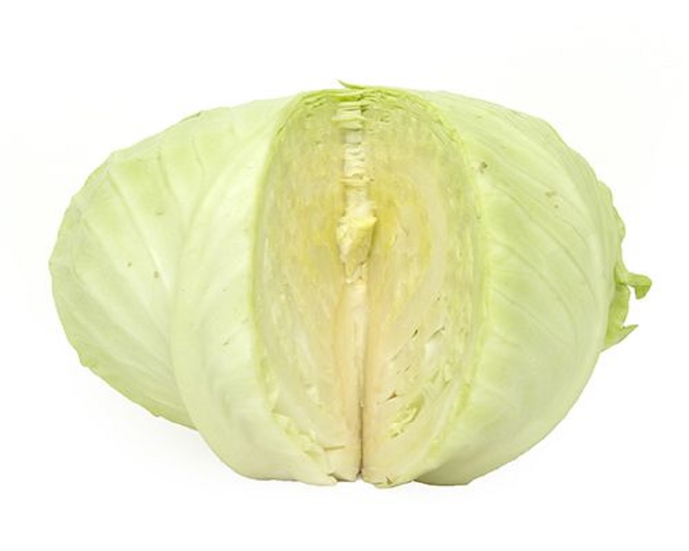 Cabbage
